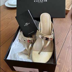 Coach Olina Gold Brand New Size 8 Never Worn